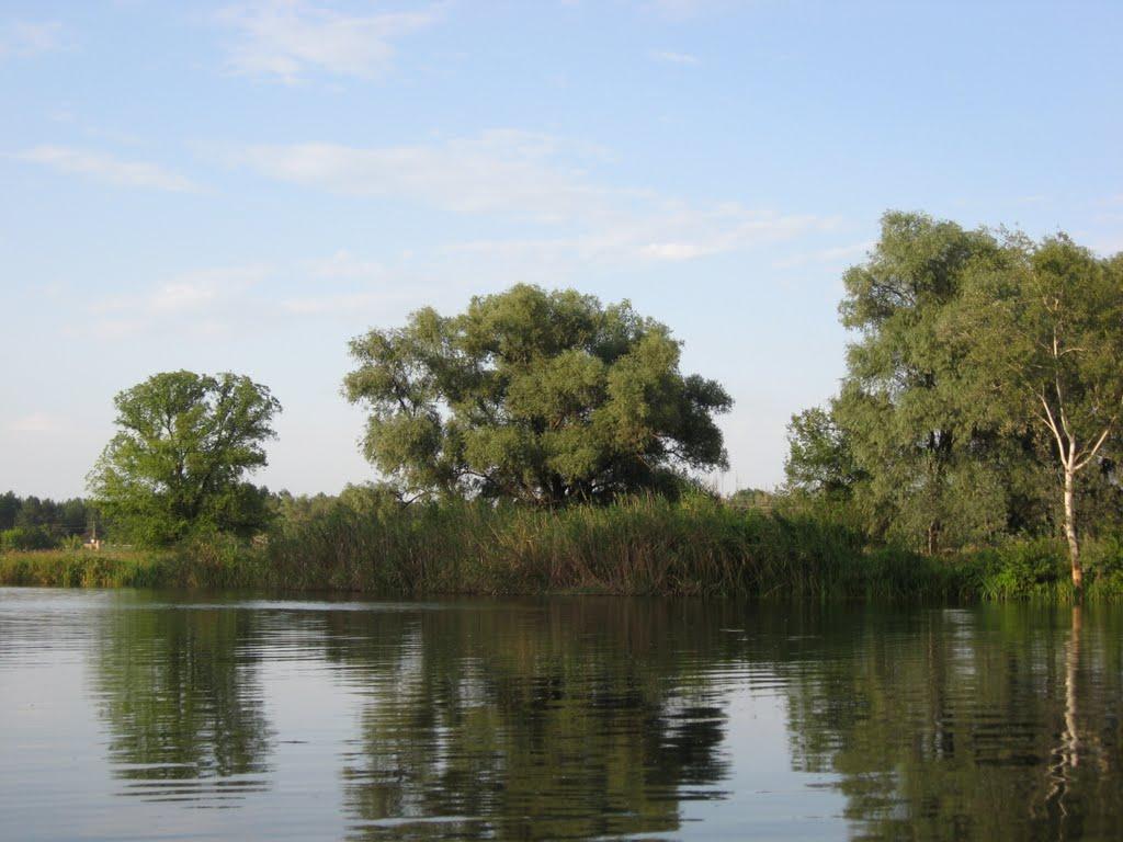 Щурове з panoramio.com - Щурово