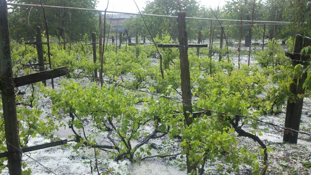 Лиманське з panoramio.com - Лиманское