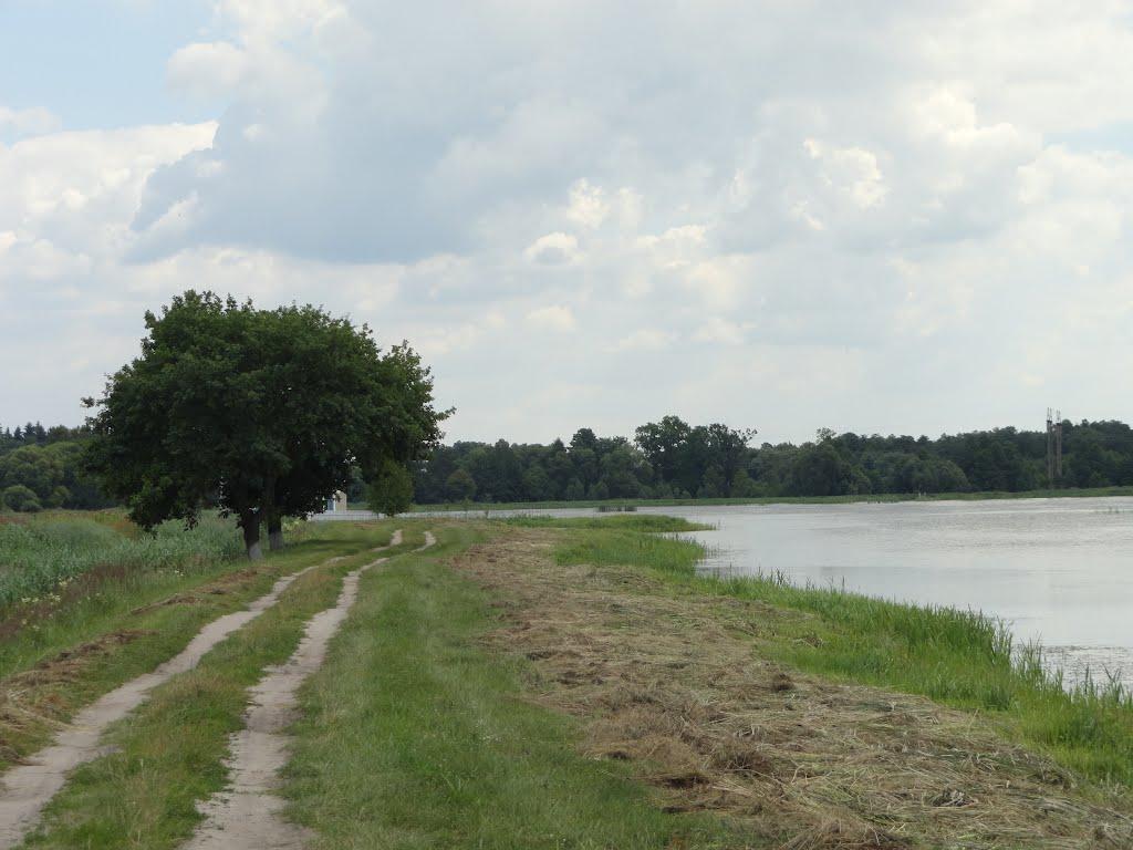 Берестяне з panoramio.com - Берестяне