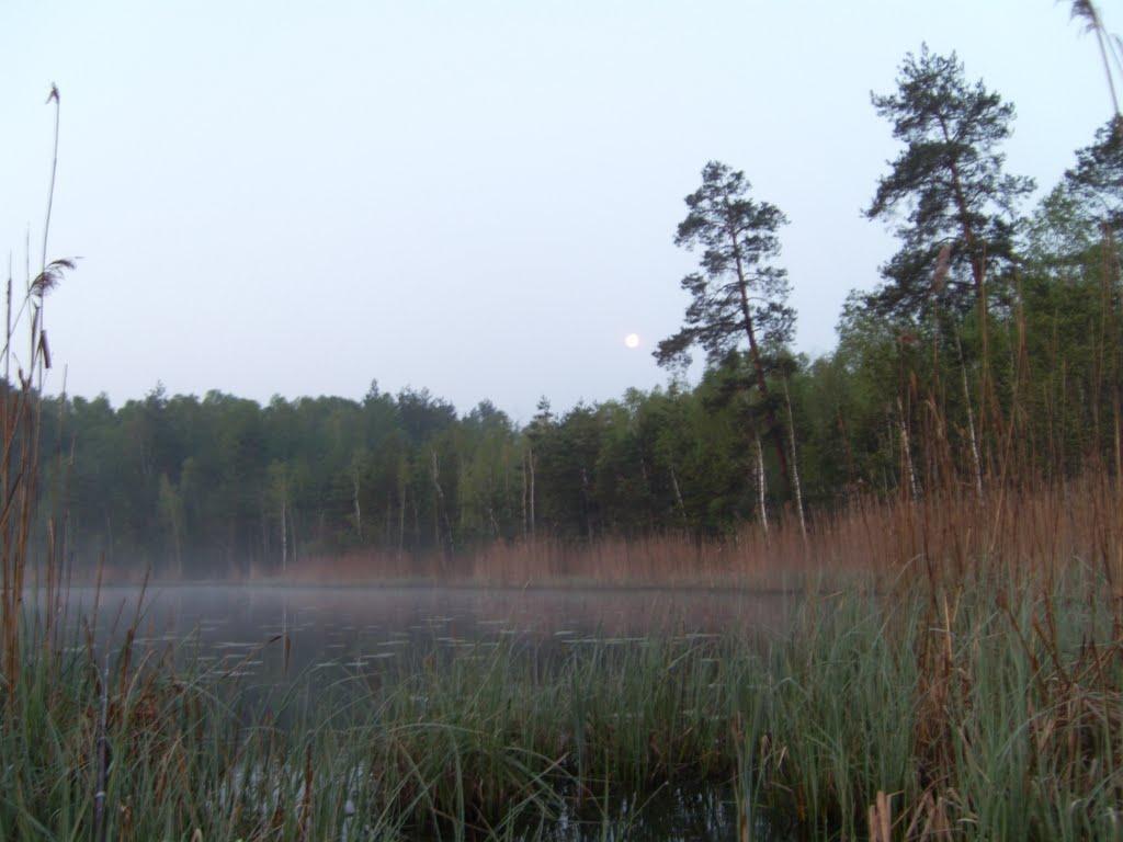 Золоте з panoramio.com - Золоте