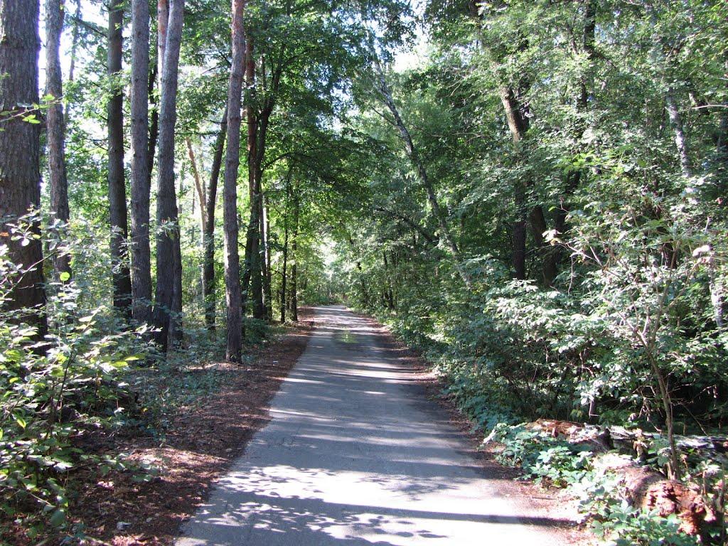 Щурове з panoramio.com - Щурово