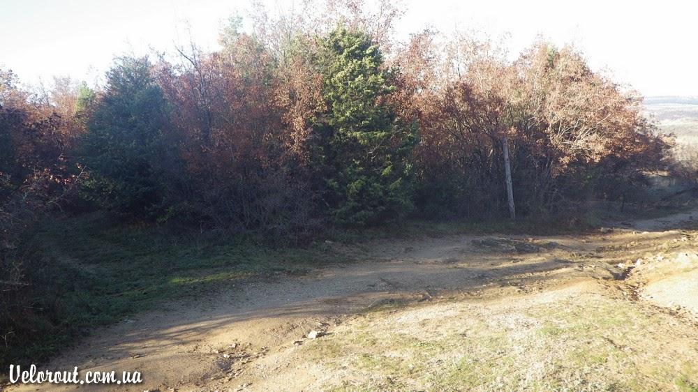 Тернівка з panoramio.com (ч.3) - Терновка