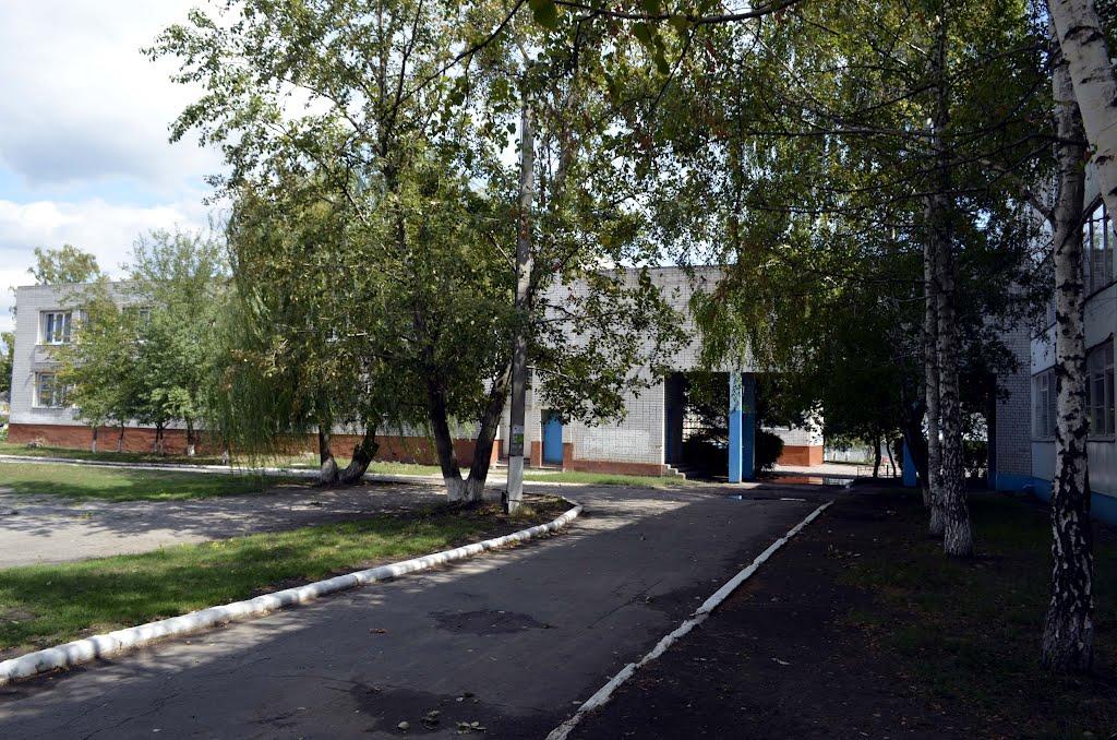 Новомосковськ з panoramio.com (ч.3) - Новомосковск