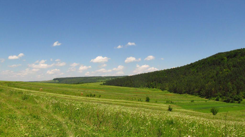 Маркова з panoramio.com - Маркова