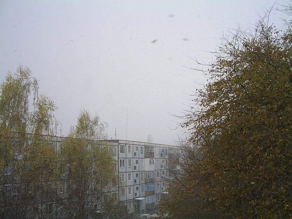 Ладижин з panoramio.com (ч.2) - Ладыжин