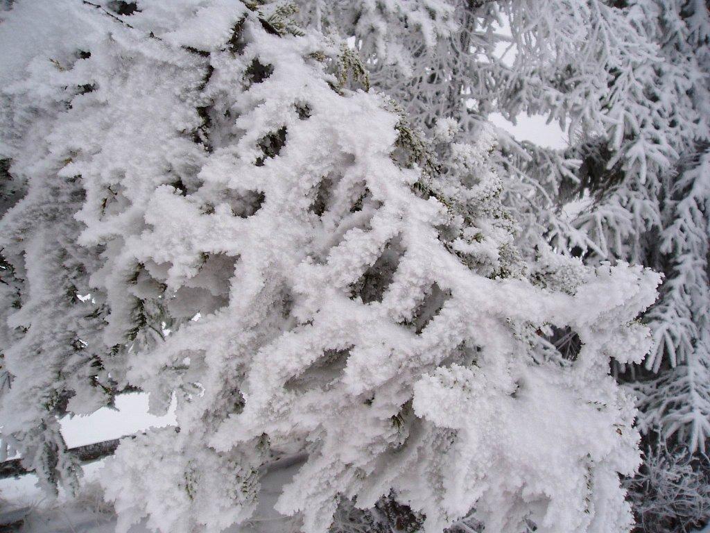 Перегінське з panoramio.com - Перегінське