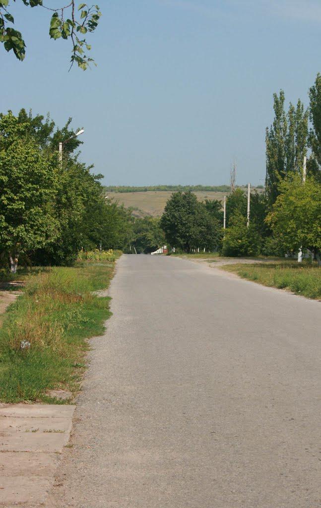 Сіверськ з panoramio.com - Северск