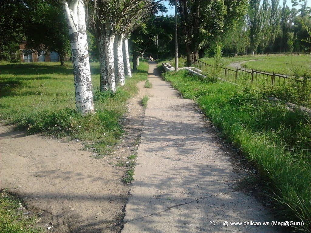 Миколаївка з panoramio.com (ч.2) - Николаевка