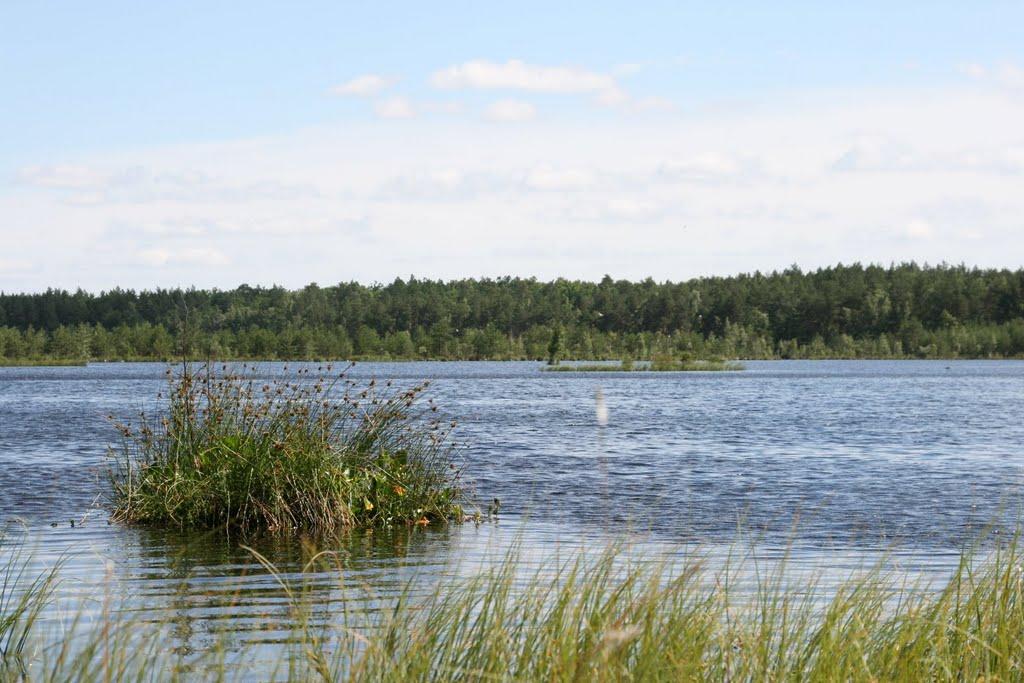 Лісне з panoramio.com - Лесное