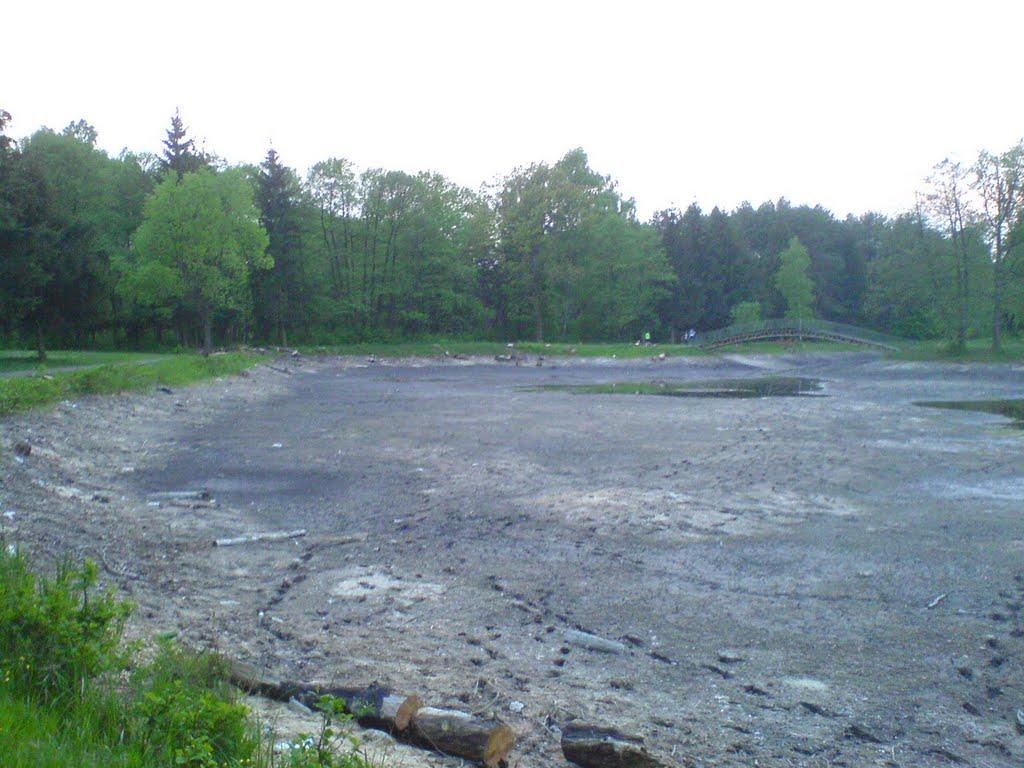 Воля-Старицька з panoramio.com - Воля-Старицька