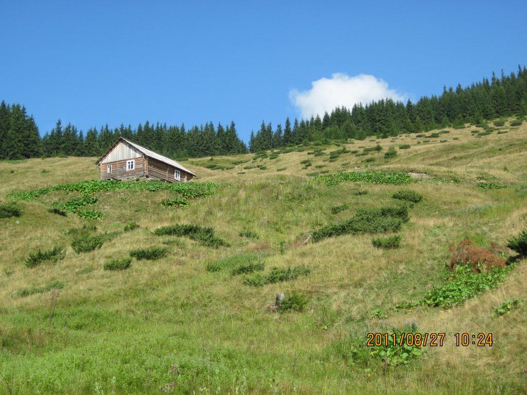 Явірник з panoramio.com - Явірник