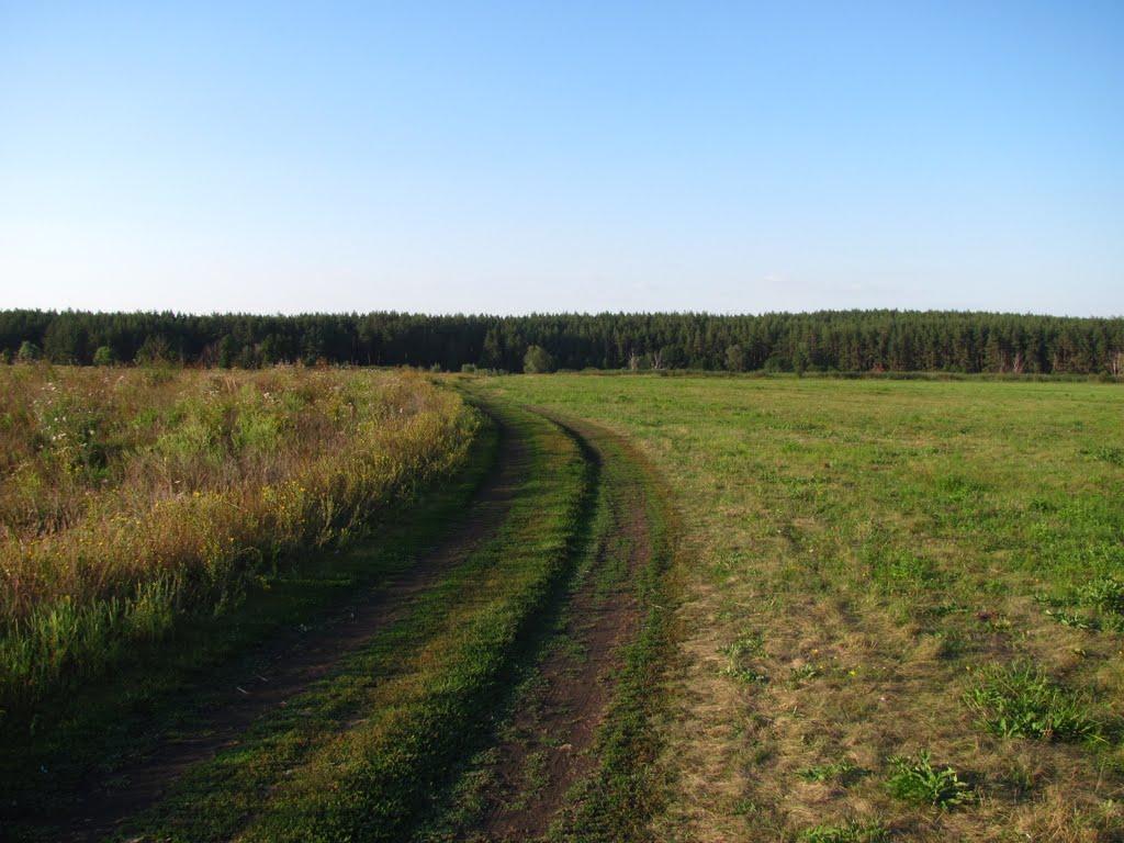 Кицівка з panoramio.com - Кицівка