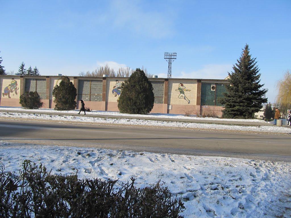 Вільногірськ з panoramio.com - Вільногірськ