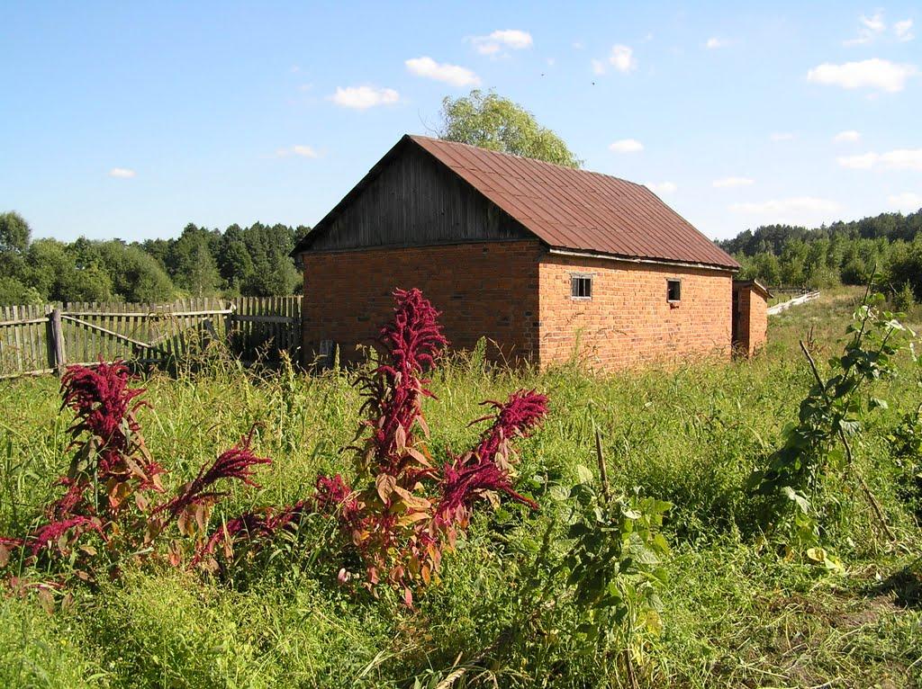 Ставрівка з panoramio.com - Ставрівка