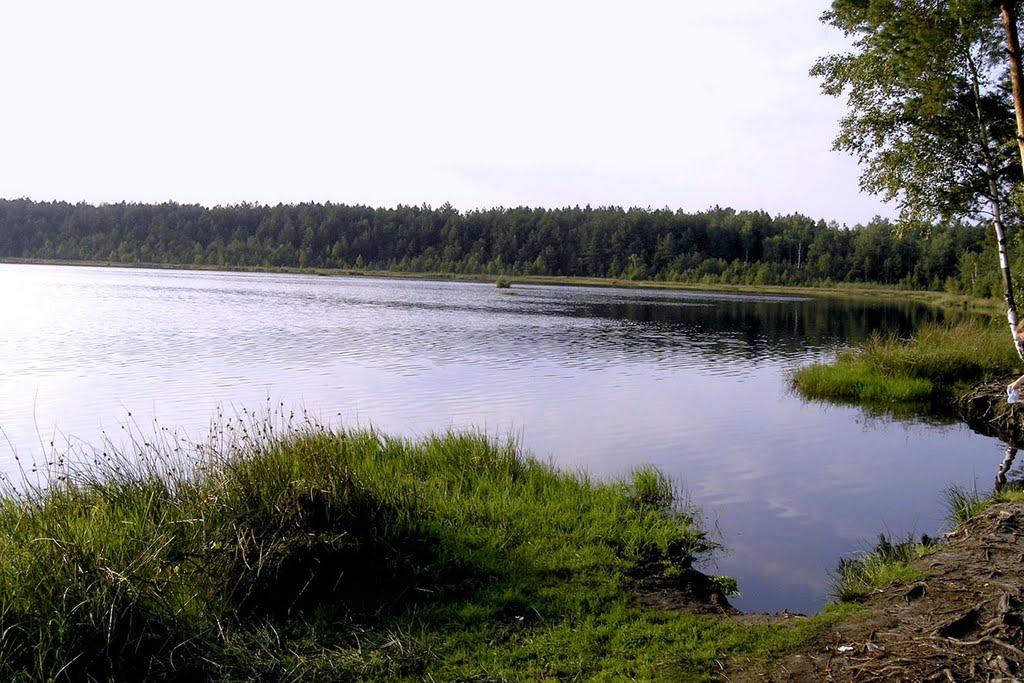 Лісне з panoramio.com - Лесное