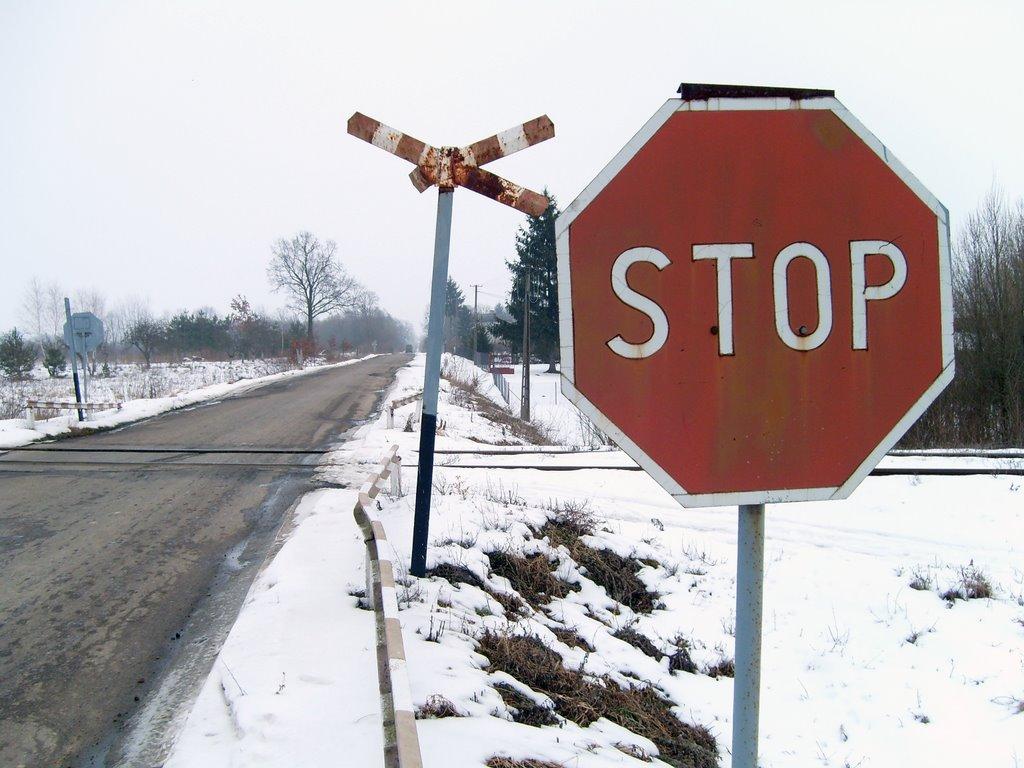 Новоугрузьке з panoramio.com - Новоугрузьке