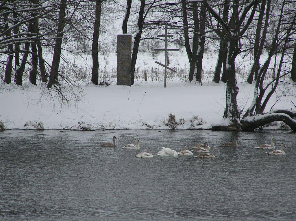 Четвертинівка з panoramio.com - Четвертинівка