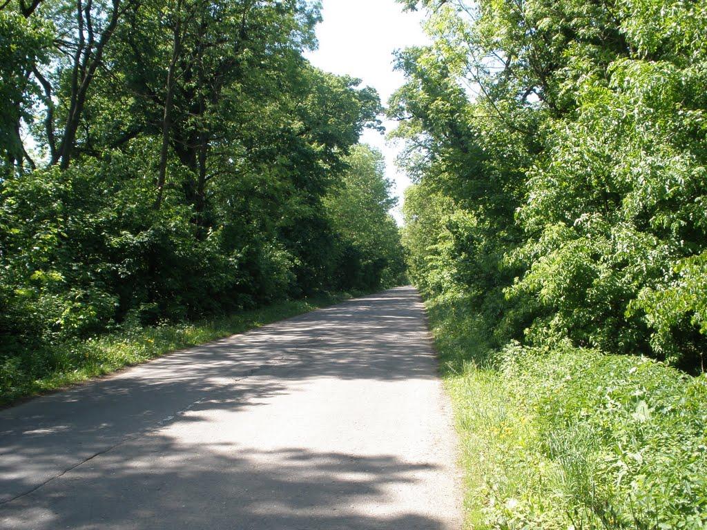 Березове з panoramio.com - Березове