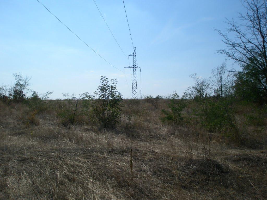Синюхин Брід з panoramio.com - Синюхин Брод