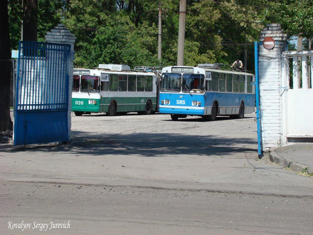 Кам'яне Поле з panoramio.com - Кам'яне Поле