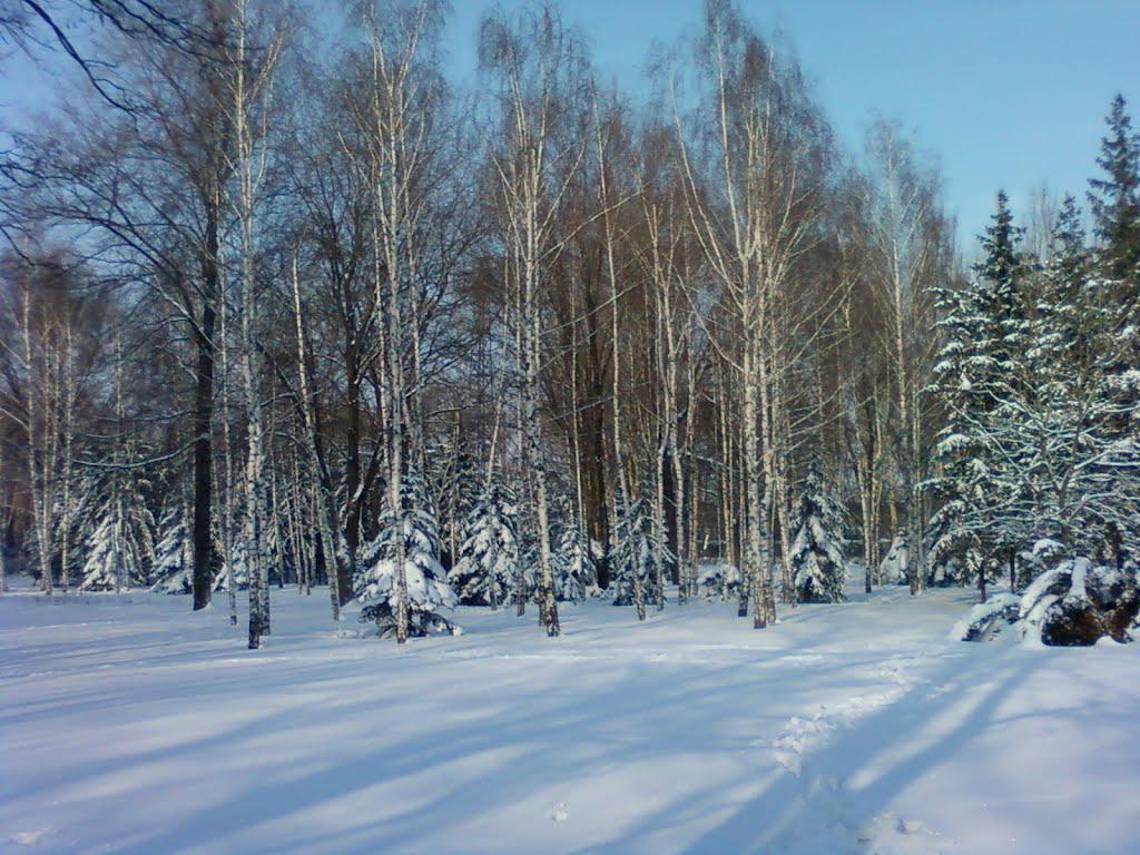 Кам'яне Поле з panoramio.com - Кам'яне Поле