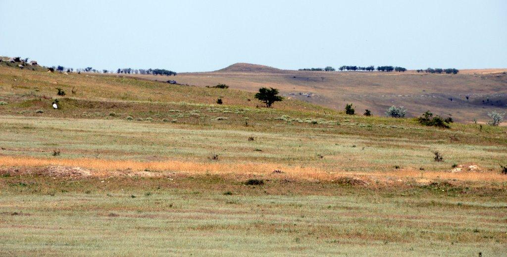 Мічурінське з panoramio.com - Мічурінське