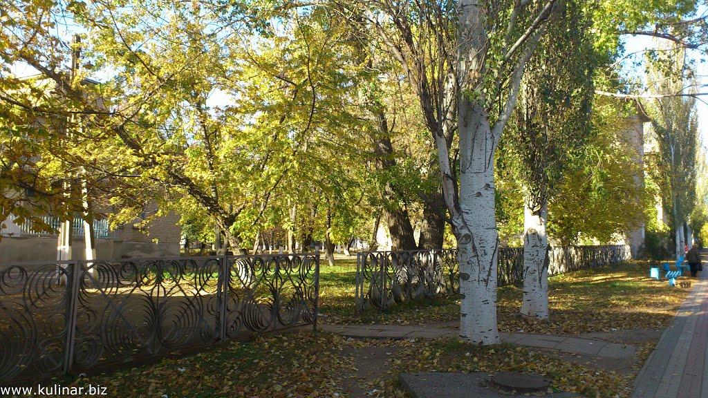 Токмак з panoramio.com - Токмак