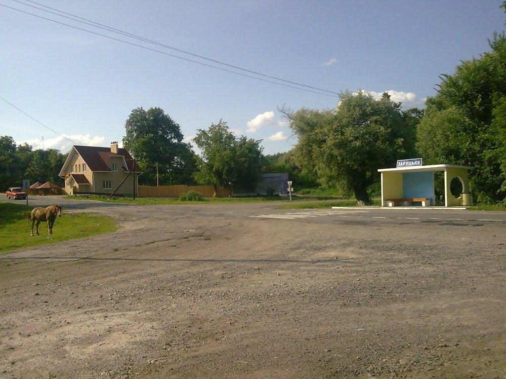 Заруцьке з panoramio.com - Заруцьке