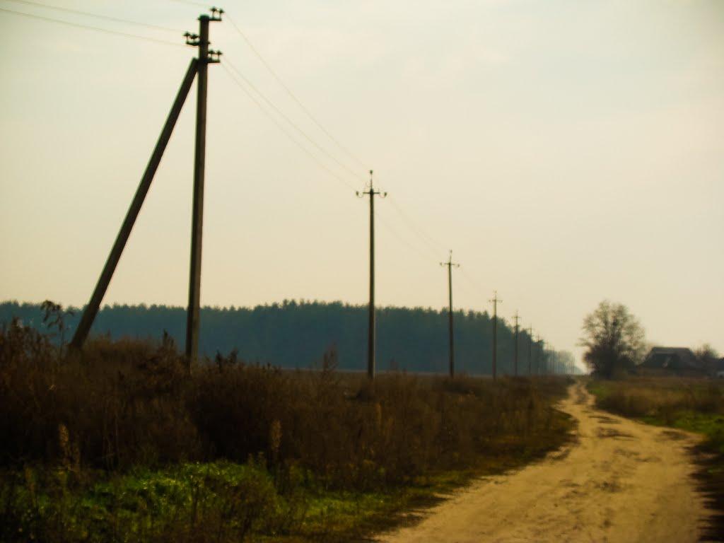 Косарі з panoramio.com (ч.2) - Косари