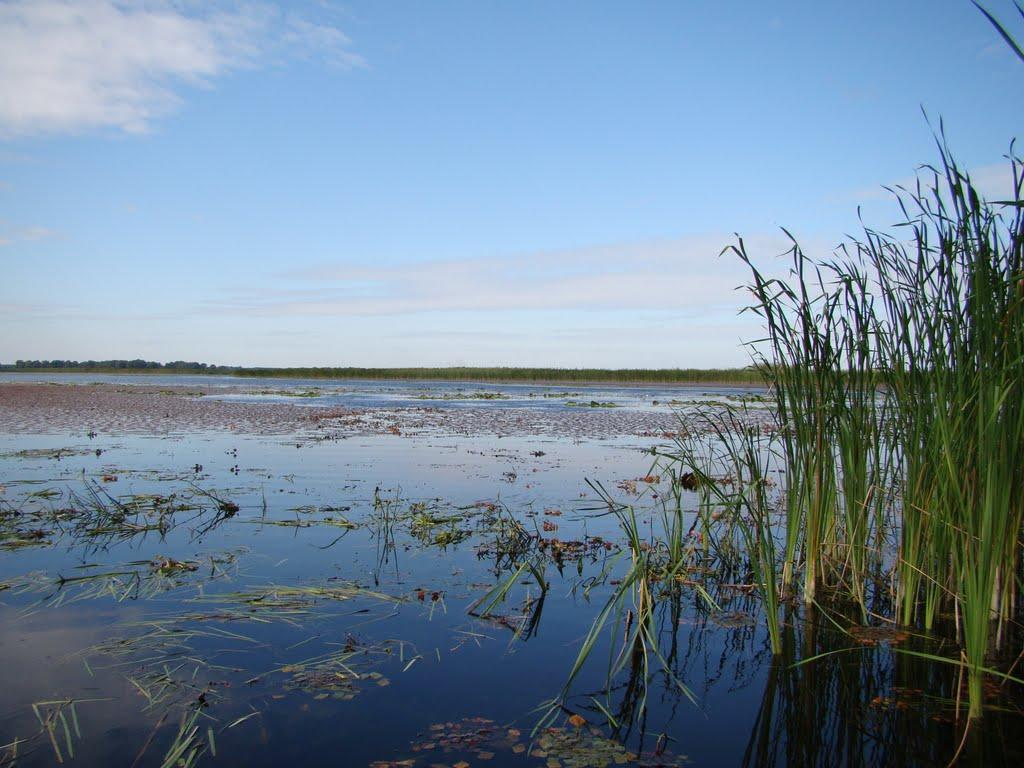 Сокирна з panoramio.com - Сокирна