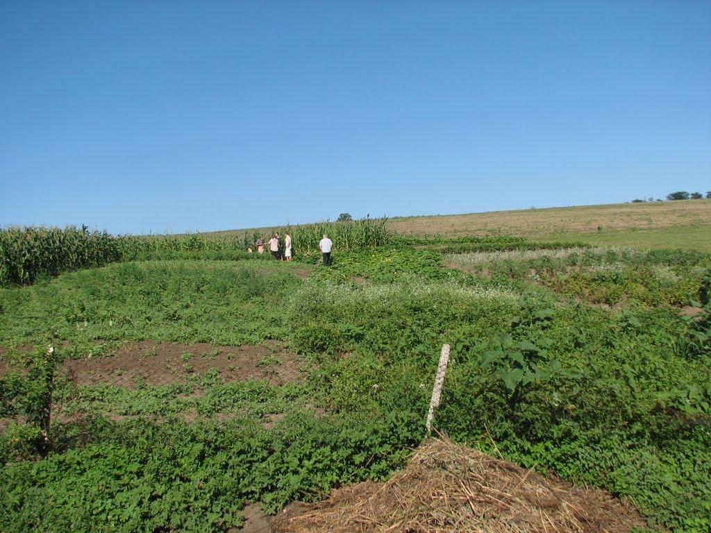 Тарутине з panoramio.com - Тарутино