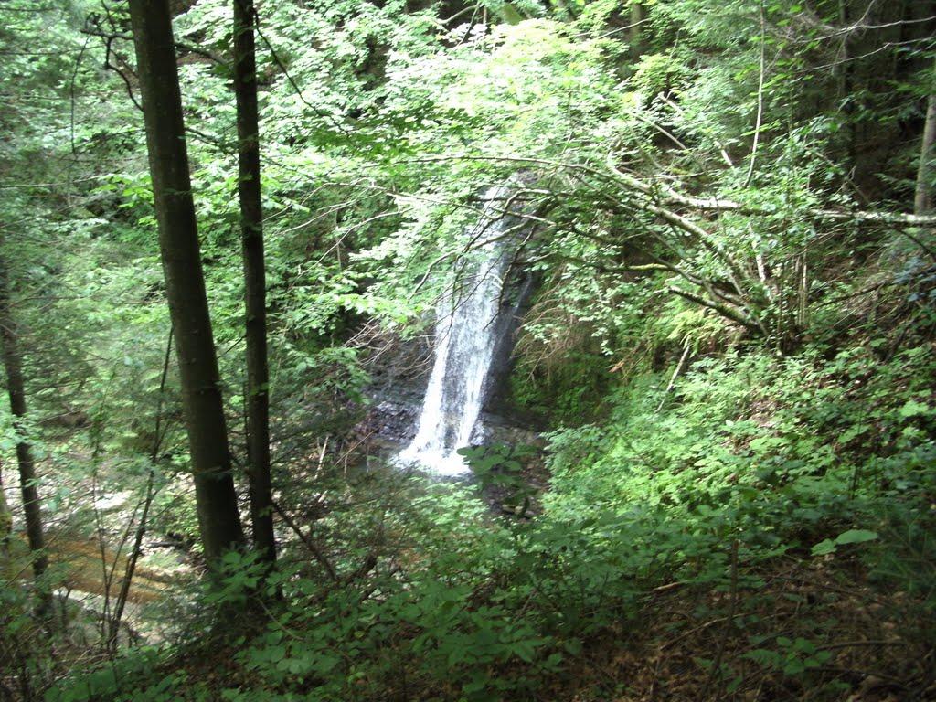 Сопіт з panoramio.com - Сопіт