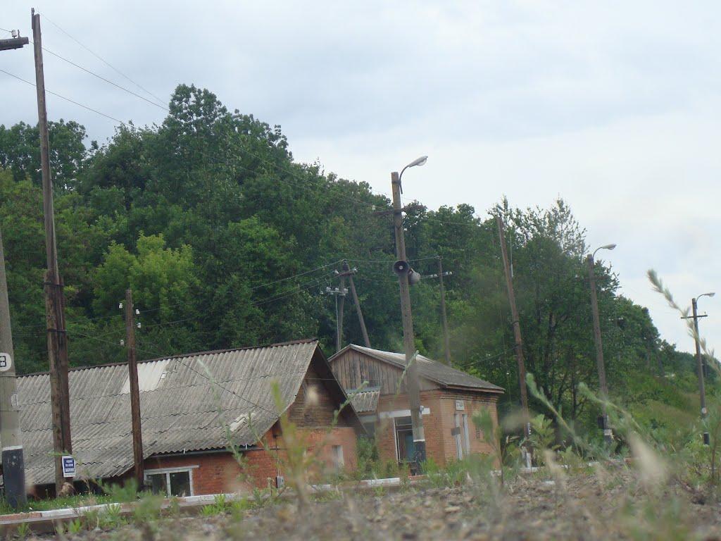 Іванківці з panoramio.com - Іванківці