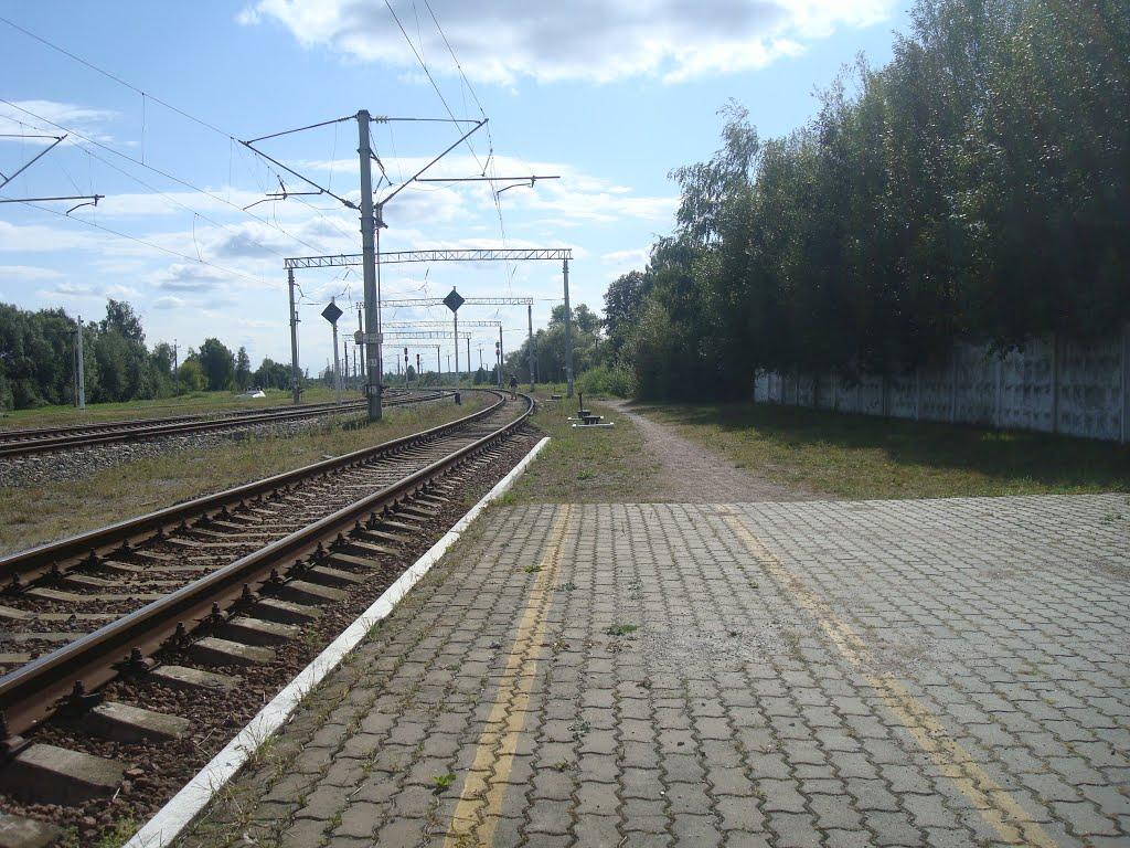 Михайлючка з panoramio.com - Михайлючка