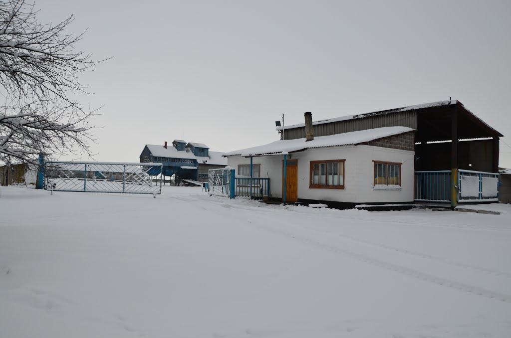 Селидове з panoramio.com - Селидове