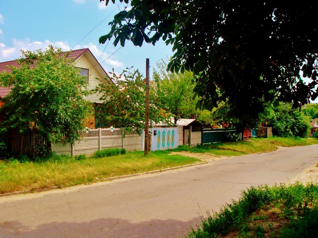 Звенигородка з panoramio.com - Zvenigorodka