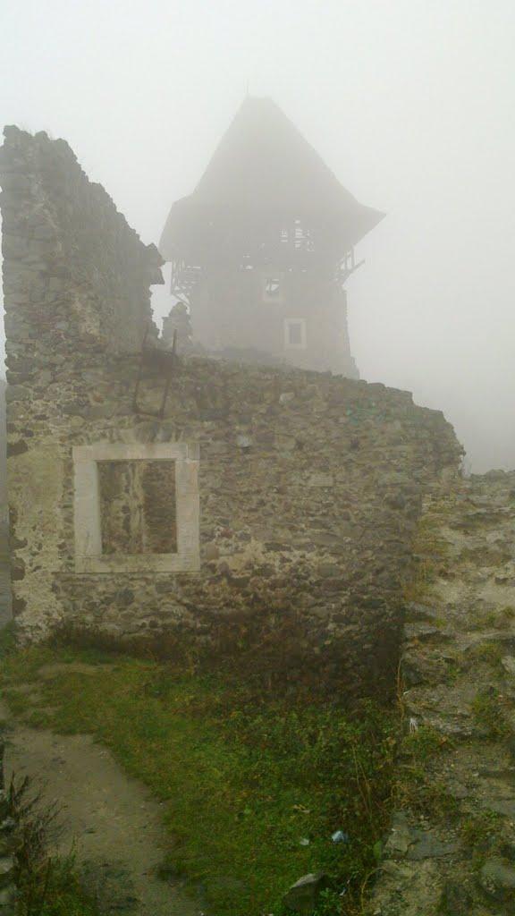 Кам'яниця з panoramio.com - Кам'яниця