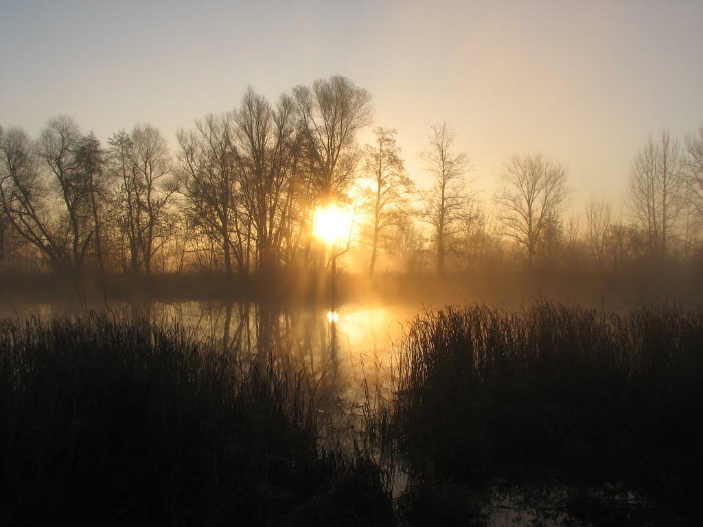 Куп'янськ з panoramio.com (ч.2) - Куп'янськ
