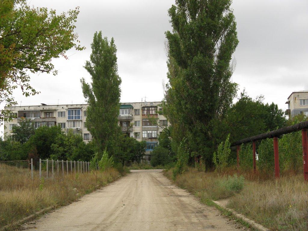 Шкільне з panoramio.com - Школьное