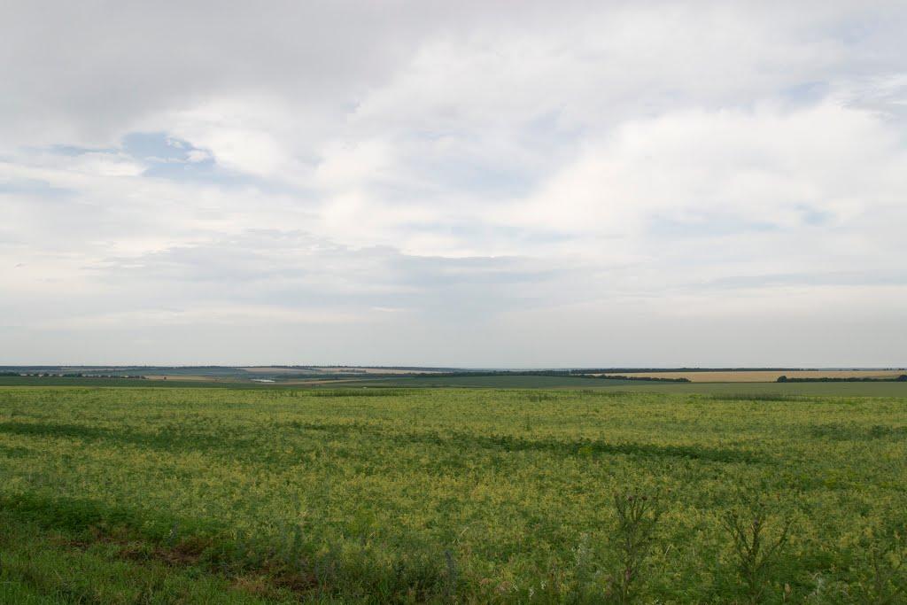 Миколаївка Друга з panoramio.com - Николаевка Вторая