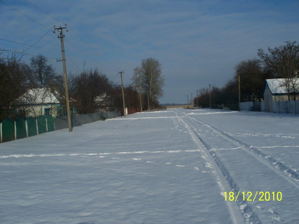 Пушкареве з panoramio.com - Пушкареве