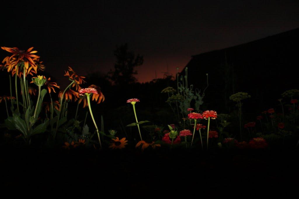 Клубівка з panoramio.com - Клубівка