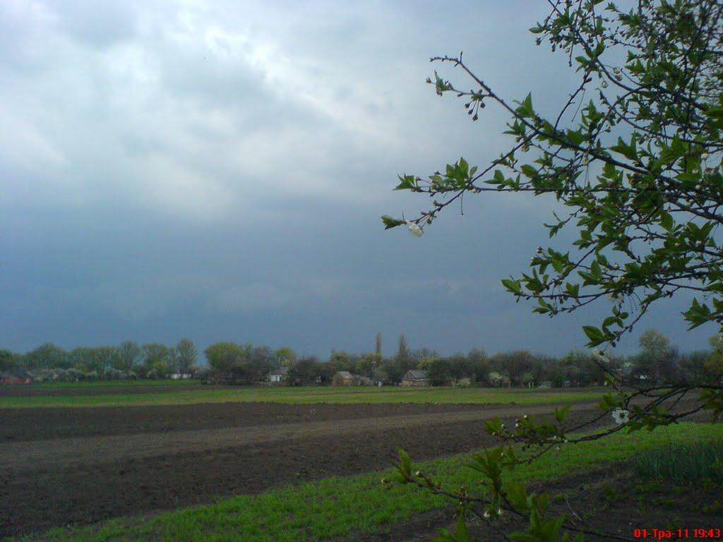 Дейманівка з panoramio.com - Дейманівка