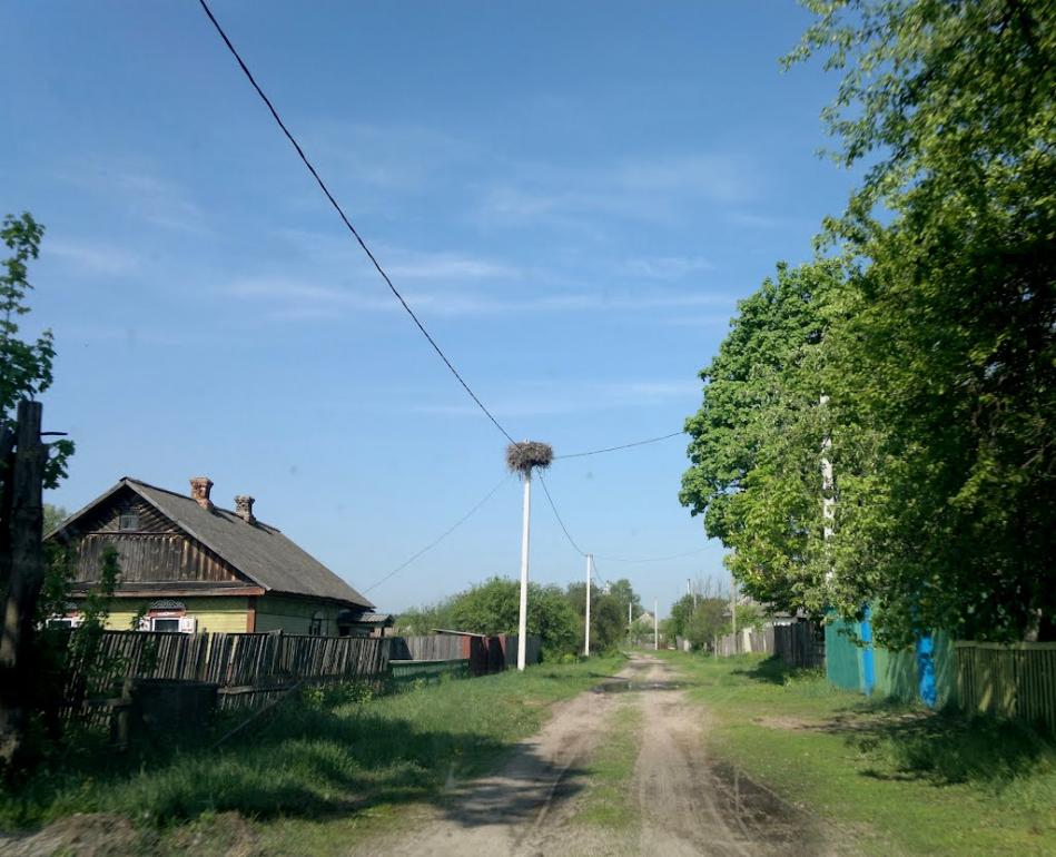 Тур'я з panoramio.com - Тур'я