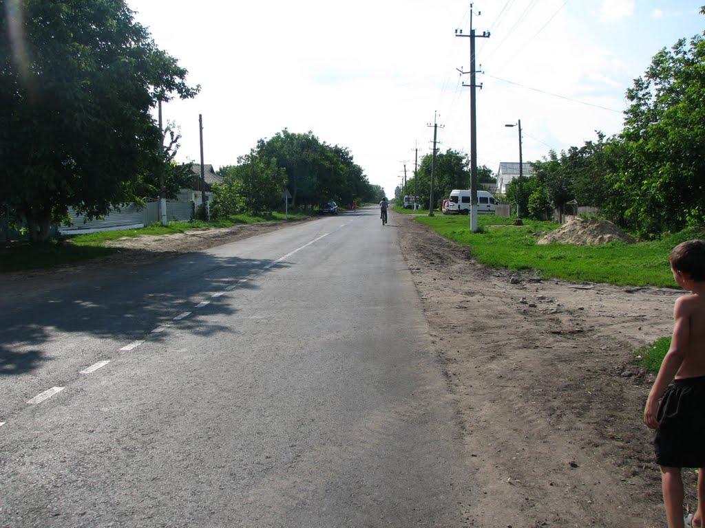 Врадіївка з panoramio.com - Врадіївка