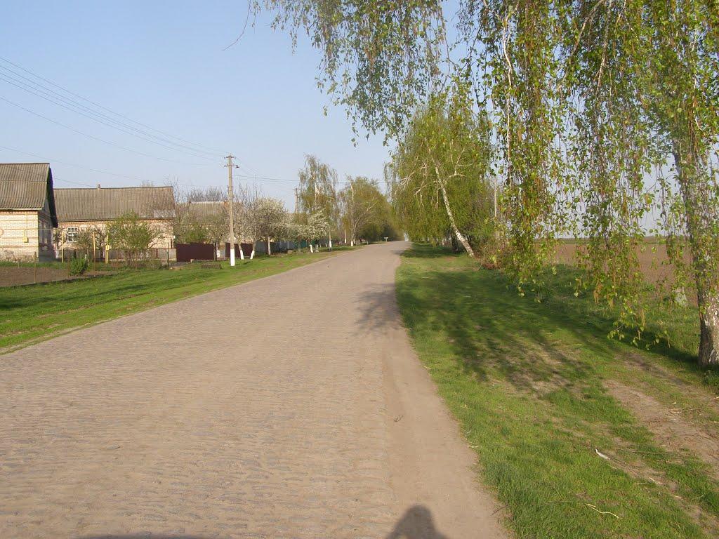 Комарівка з panoramio.com - Комарівка