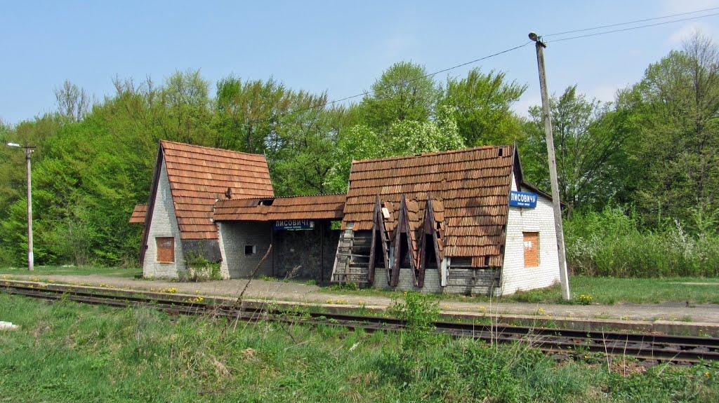 Лисовичі з panoramio.com - Лисовичі