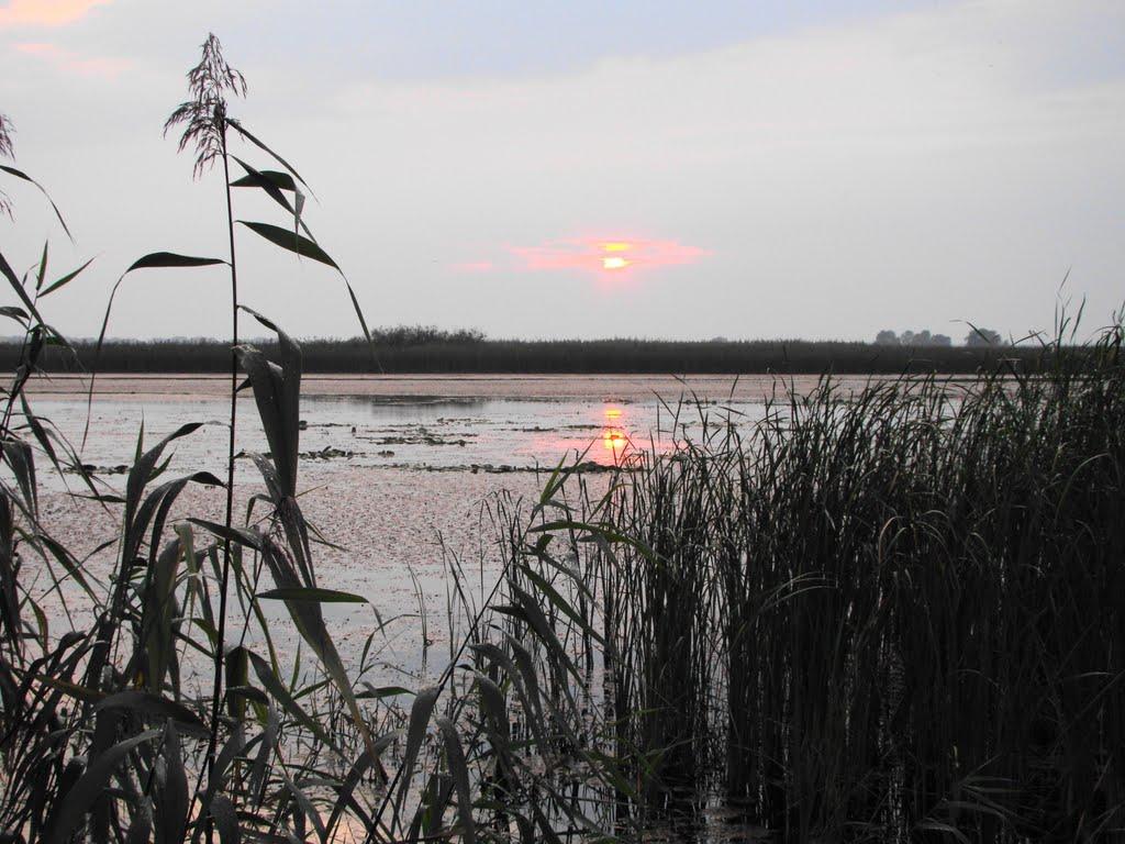 Сокирна з panoramio.com - Сокирна