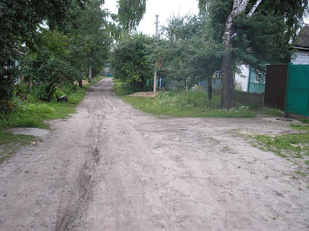 Глухів з panoramio.com - Глухов