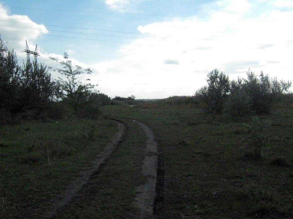 Старозаводське з panoramio.com